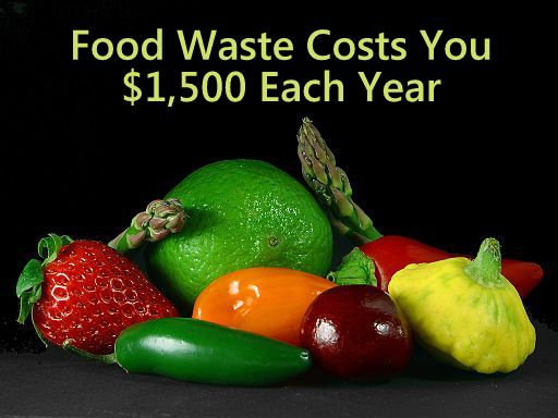 How Much Does Food Waste Cost You Each Year?